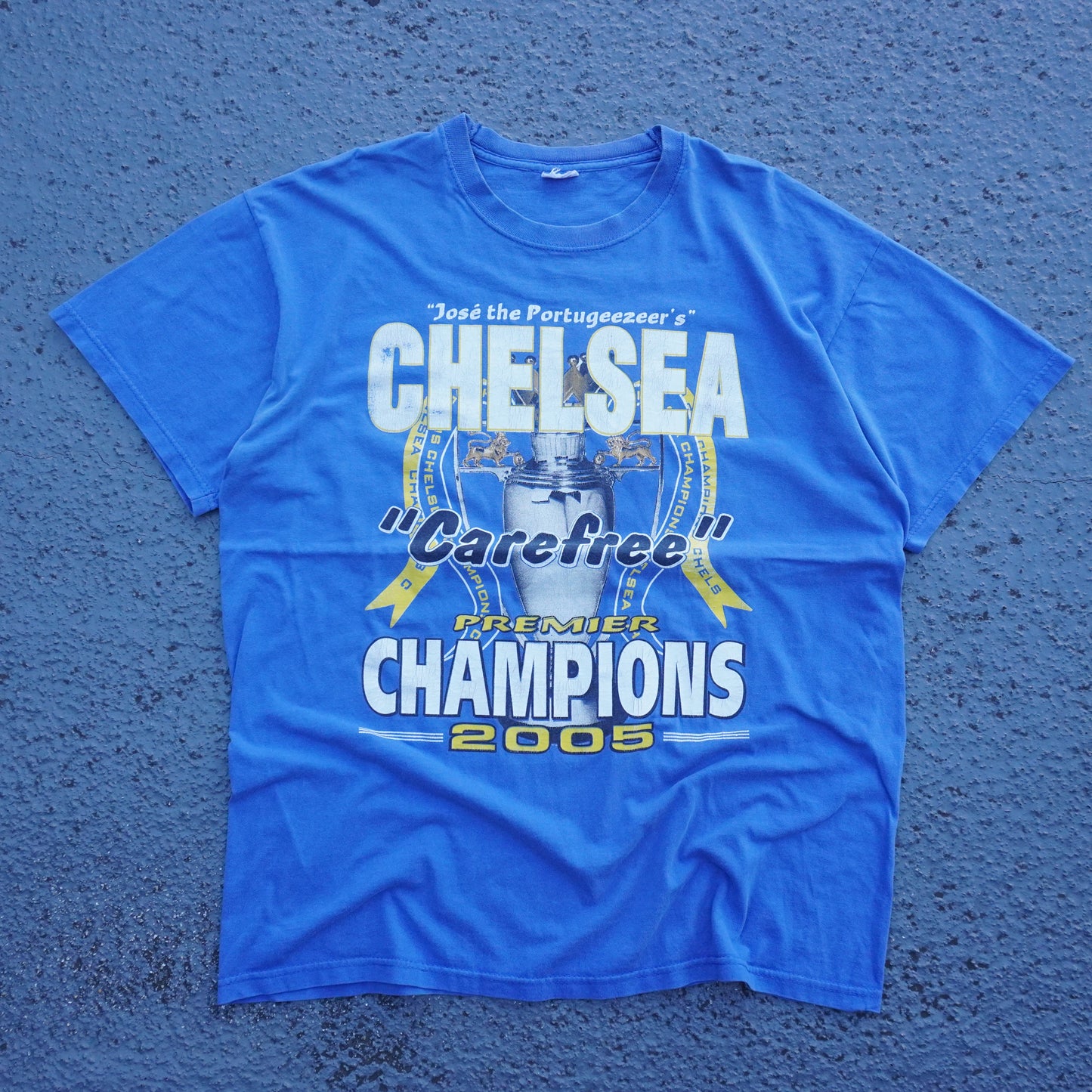 2005 Chelsea FC Premier League Champions Large